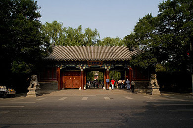 淑婷公欲息肉婷在厨房｜温馨厨房，和谐社区，烹饪快乐时光