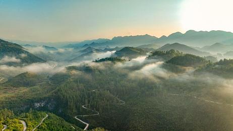 海棠直播｜短视频新星海棠直播崛起，创新模式引领行业未来趋势