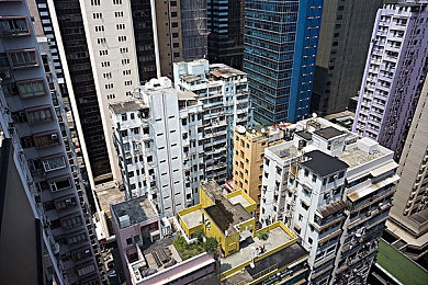 小马拉大车来自妈妈的爱｜坚韧母爱，小马拉大车：家庭教育之路