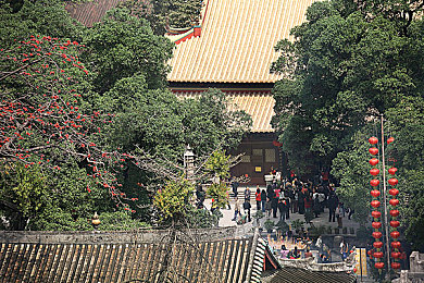 色天天综合｜探索奇幻冒险：色天天综合攻略详解，助你成为传奇英雄-5
