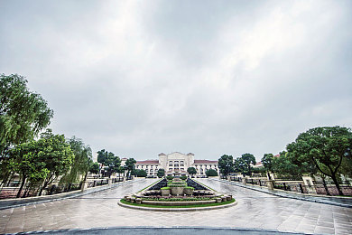 18大黄色软件｜解锁18种功能，体验软件工程师传奇之旅-3