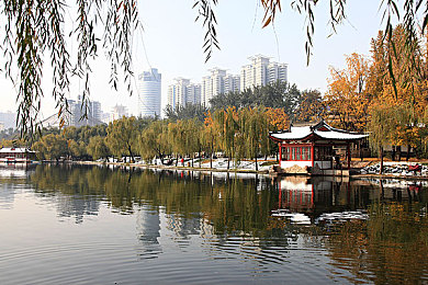 小辣椒导航｜畅游网络新天地，小辣椒导航助你轻松游戏人生