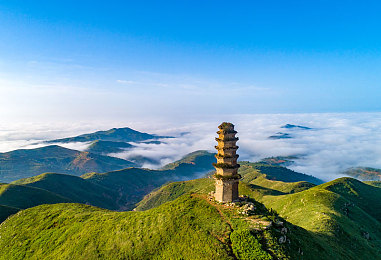 夜里十大黄台｜夜幕猎影：十台黄台净化行动