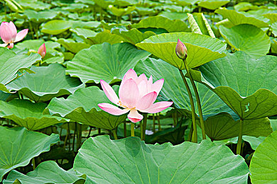 业余 性别 管｜性别自由新篇章，破壁人生无限可能-2