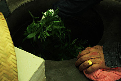 火辣辣福利导航｜揭秘火辣辣福利导航：互联网深处的宝藏等你探索-1