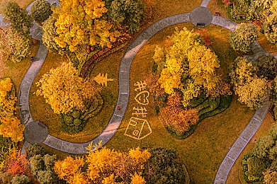 西西人体做爰大胆GOGO直播｜网络直播监管再引热议：“西西人体做爰大胆GOGO”事件引发社会关注-3