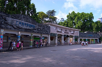 公孙离流眼泪翻白眼咬铁球图片｜泪咬铁球，生活不易：公孙离街头表演引发社会深思-3