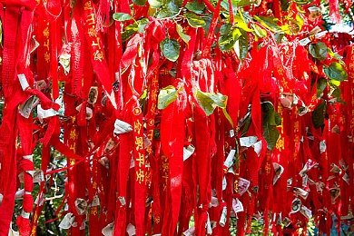 中国老太太HID｜中国老太太HID智能产品：便捷生活新体验，科技关爱老年生活