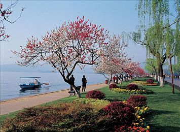 日本浮力院发地布的正确使用方法｜揭秘日本浮力院发地布：体验失重般的舒适与放松，身心焕然一新