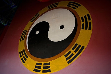 操逼软件免费｜探索禁忌边界,虚拟世界中的真实冲击-2