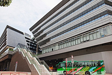 黄色入囗｜网络色情信息泛滥成灾，青少年身心健康受威胁，治理刻不容缓！-2