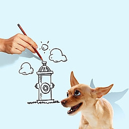 黄直播app｜黄直播app崛起：直播新势力引领年轻潮流，创新模式助力行业多元发展