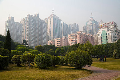 丁香五月综合｜未来城市之路,共筑绿色新生活