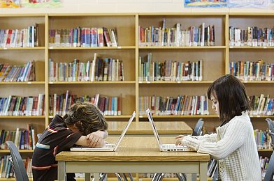 男生女生差差差app2025：性别解码，智慧桥梁，共筑和谐未来