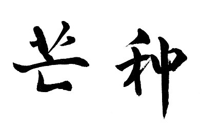 可以看男的和女的打扑克吗：扑克牌桌魅力无限：性别界限打破，智慧竞技展现风采
