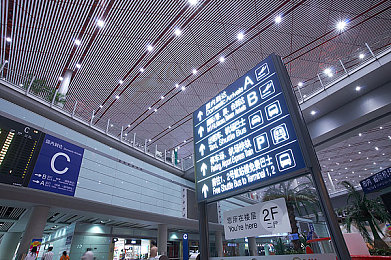 男人与雌性动物dna：基因之谜探秘之旅，揭开男雌情感纽带的面纱
