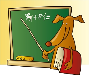 可乐导航免费入口：揭秘网络导航神器：带你畅游信息海洋，安全便捷两不误-1