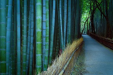 4438全国最大：崛起巅峰，创新领航，行业先锋之旅-2