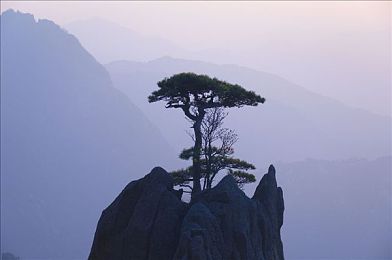 真人真事玩老太婆：网络陷阱揭秘：温情骗局，识破老太婆求助之谜