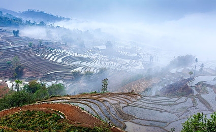 露胸视频软件：揭秘视觉盛宴：探讨争议中的露胸视频平台魅力与影响