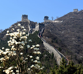 老司机67194：网络达人分享乐园，揭秘生活智慧之门-3