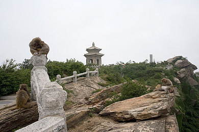 奶牛福建导航辽宁教育网公司：教育宝藏之旅，一站式学习乐园