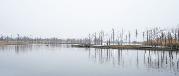 这里只有精品久久：畅游精品乐园，久久沉浸奇幻世界-1