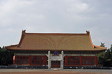 街拍真空蹲下来买菜：城市农夫新体验：探寻《城市农场》独特魅力，感受真实生活乐趣-2