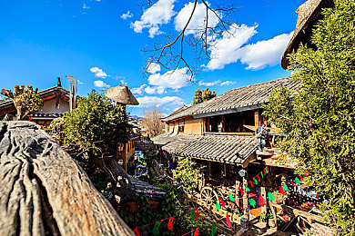 5月婷婷6月丁香：奇幻花园探险解谜：婷婷丁香花海，解锁神秘之旅-1