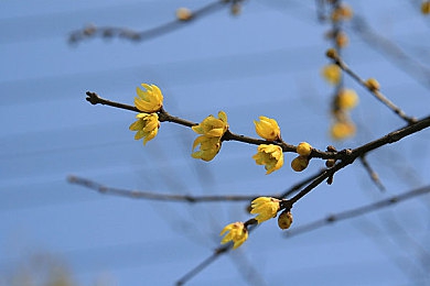 6月电子厂全景沟厕：探寻历史足迹：揭秘电子厂沟厕背后的传奇故事
