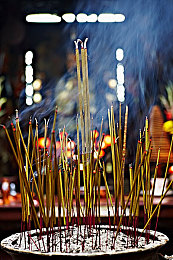 好色先生视频APP：视频盛宴，高清畅游，尽在精彩视界