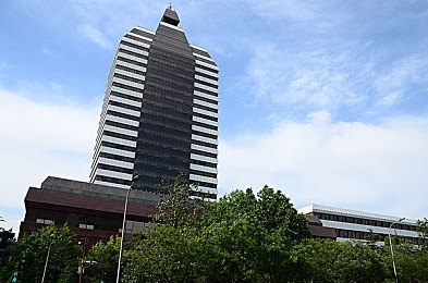 黄色软件大全3.0.3免费：畅游游戏宝库，一键整合资源盛宴