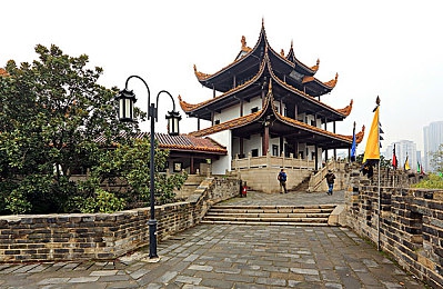 樱花直播APP：直播新宠：多样内容，互动体验，让快乐在线绽放