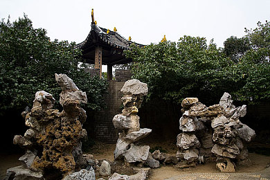 44383x79全国最大成：破茧成蝶，揭秘我国科技新星的崛起之路