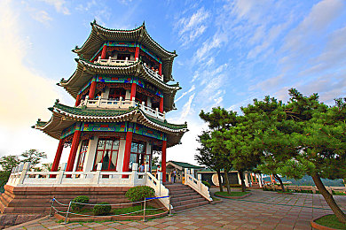 婷婷丁香五月花：古城花潮盛宴，丁香梦语传颂千年-2