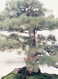 jealousvue成熟六十：穿越光影，探寻传奇：揭秘经典游戏之魅力传奇-2