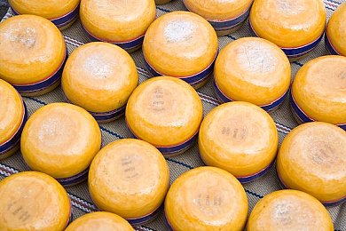 99热最新精品：畅游海量精品，尽享游戏娱乐盛宴-3