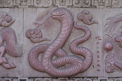男女打补克免费软件：趣味对弈，畅享扑克盛宴，社交互动新体验-2