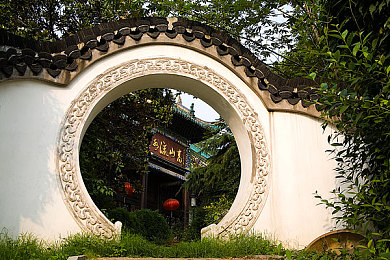 а√最新版在线中文8：颠覆传统，智能互动：全新语言学习平台引领潮流，全球中文学习者福音-1