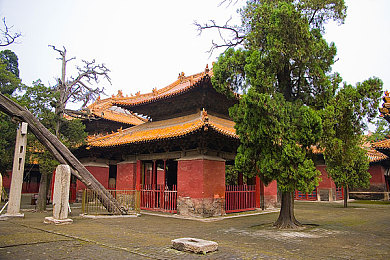 久九九久频精品短视频：短视频新潮流，久九九久频引领快乐时光，精选内容嗨翻你的休闲时光-3
