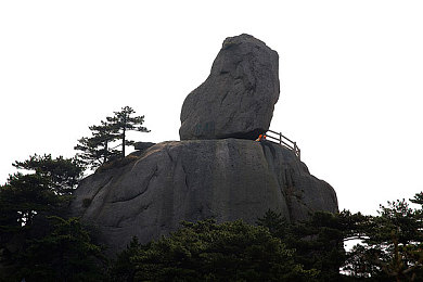 小说推文小括号和大括号：网络文学传播奥秘：揭秘小括号与大括号的独特魅力