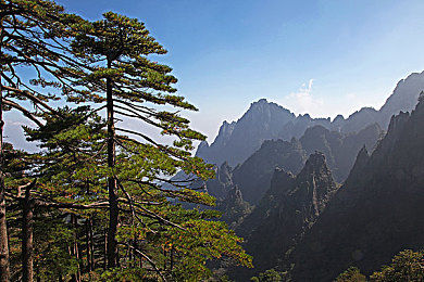 麻豆传免费进入网站apexam：麻豆奇幻之旅，畅游虚拟世界新篇章-1
