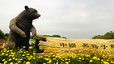 国产又黑又粗：制造业新纪元：探秘“耐久之选”魅力之旅