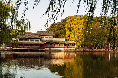 黄台aop：农旅融合新篇章，智慧田园探秘行-4