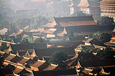 怡红院直播：古院迷踪：直播乱象，文明守护之旅-3