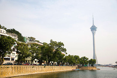 99re6免费：揭秘网络宝藏库：海量免费资源平台，带你领略数字生活的无限魅力-2