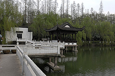 被女王玉手榨精后阉掉：揭秘网络谣言陷阱，守护清朗网络空间-2