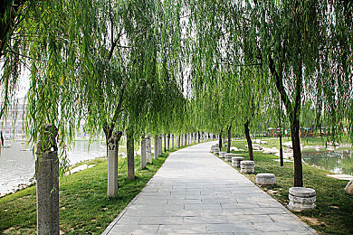 护士脱了精光让人吃秘 奶：揭开神秘奶食面纱：欧洲古老仪式护士脱衣背后的饮食文化探寻