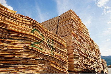 疯狂操逼软件：揭秘传奇游戏辅助工具：疯狂游戏助手背后的秘密与使用之道