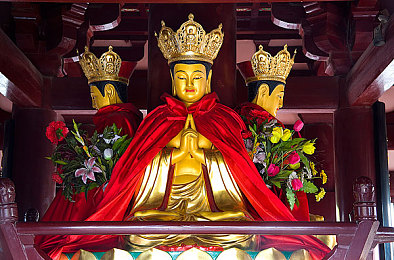 雏鸟pro圆你一个莉莉梦：莉莉魅力绽放，《雏鸟pro》带你探索神秘冒险世界